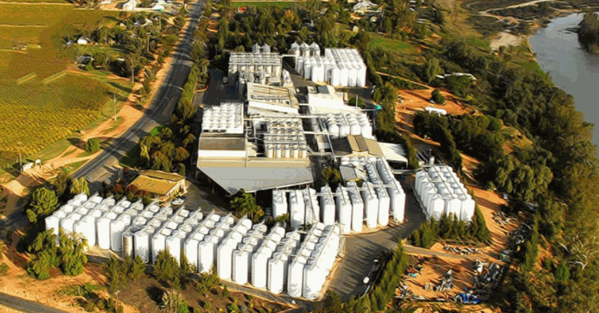 澳尼斯普斯兰干红